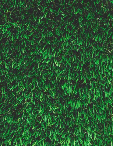 Meadow Grass - 3015 Lush Green